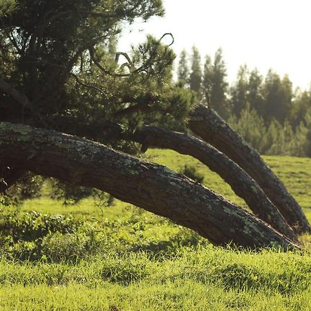 Quinta Do Paraiso São Teotónio Dış mekan fotoğraf