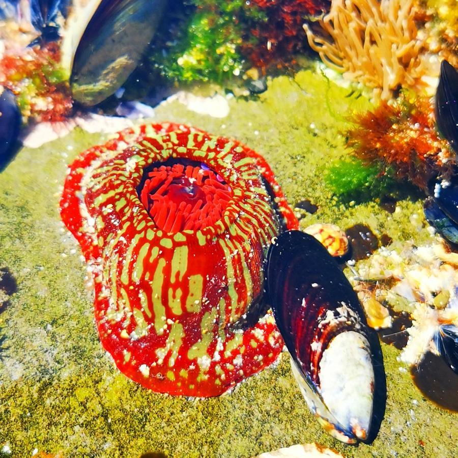 Quinta Do Paraiso São Teotónio Dış mekan fotoğraf