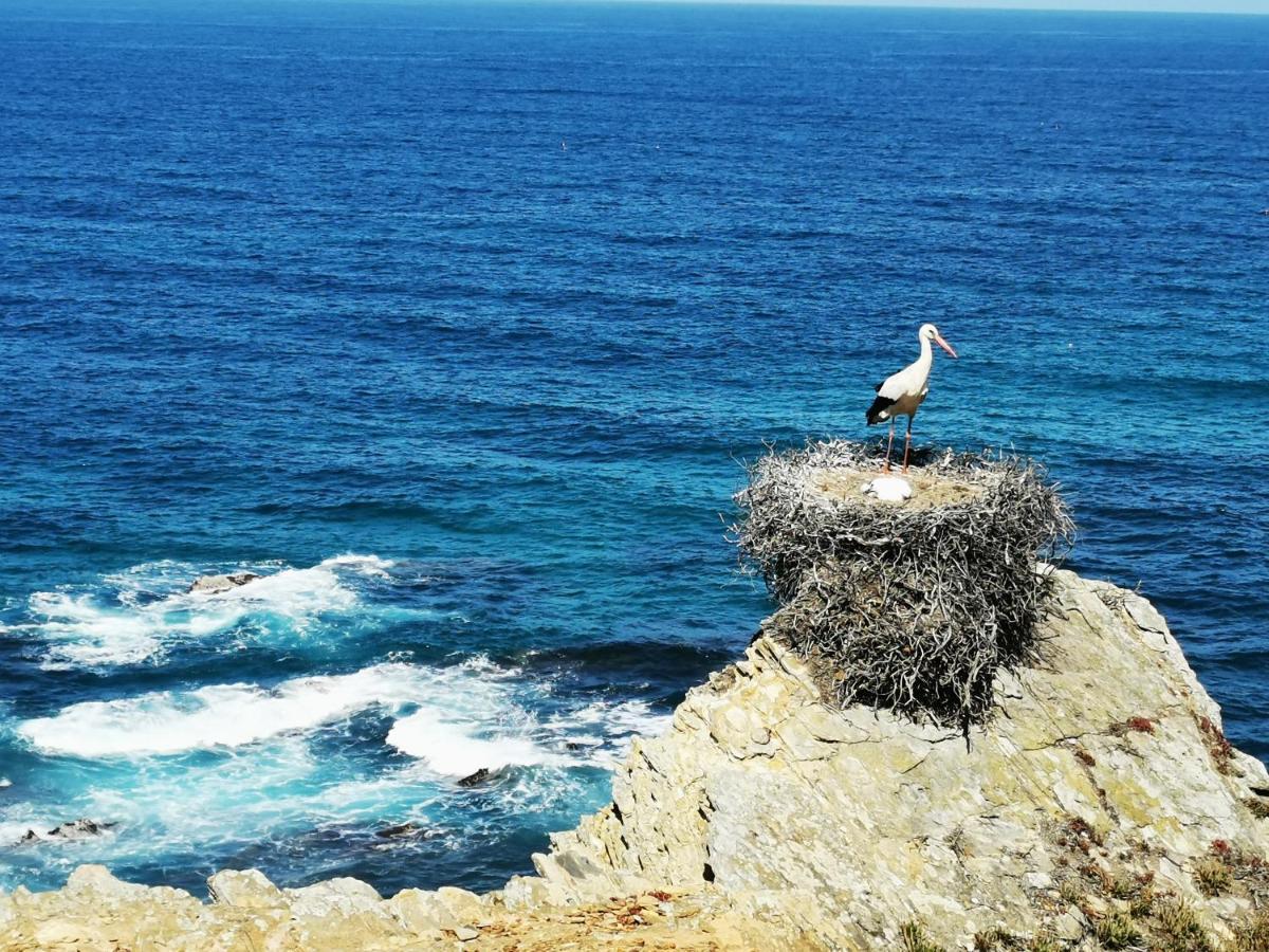 Quinta Do Paraiso São Teotónio Dış mekan fotoğraf