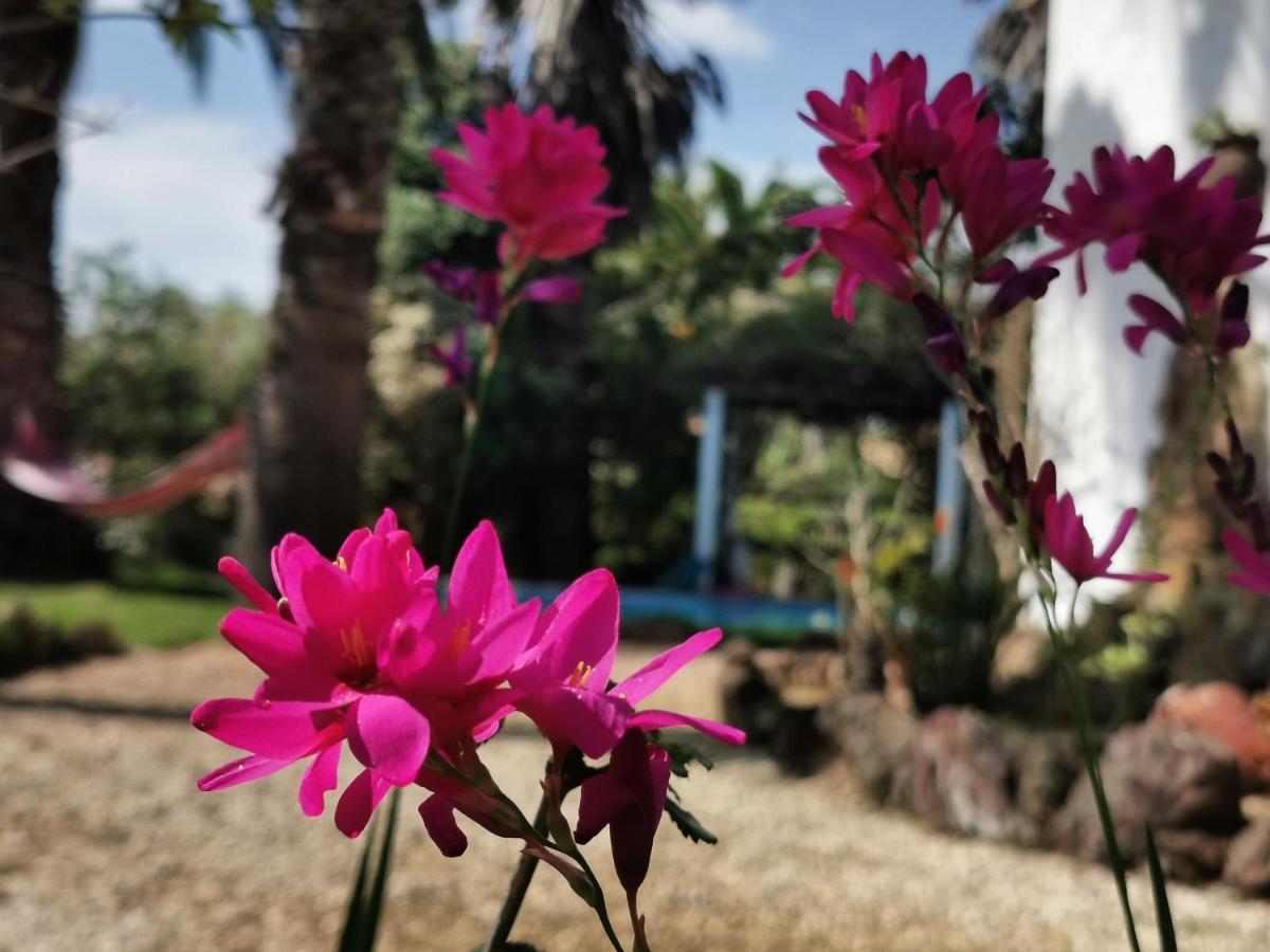 Quinta Do Paraiso São Teotónio Dış mekan fotoğraf